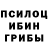 Псилоцибиновые грибы прущие грибы Anastasia Skityova