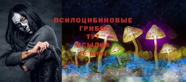 прущая мука Гусиноозёрск