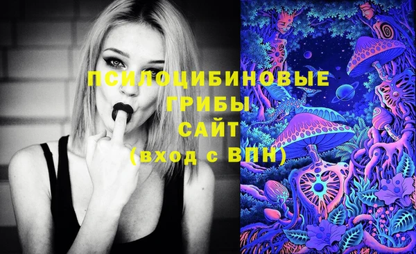 марки nbome Гусь-Хрустальный