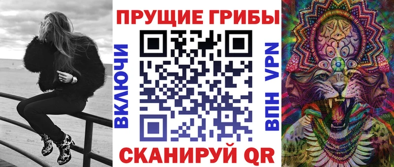 Купить  Лангепас  Галлюциногенные грибы Cubensis 